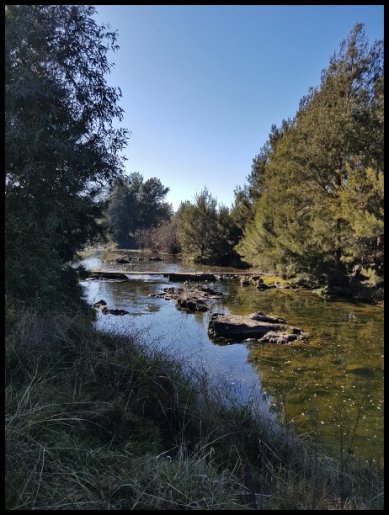 Molonglo River - looking downstream to the crossing